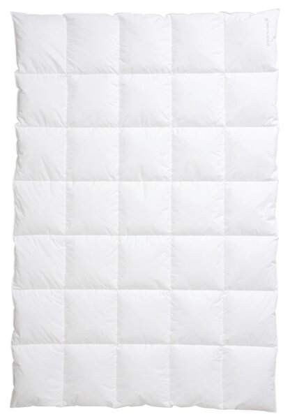 CELOROČNÍ PŘIKRÝVKA, 155/220 cm, peří, prachové peří Centa-Star - Přikrývky, Online Only