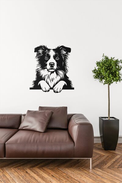 Border Collie #1 samolepka na zeď, různé rozměry - Černá, 20x22 cm
