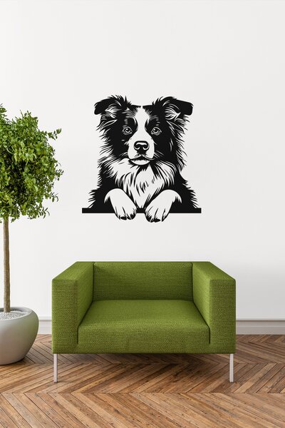 Border Collie #1 samolepka na zeď, různé rozměry - Černá, 20x22 cm