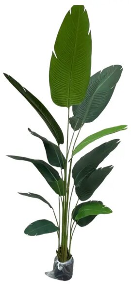 Umělá strelície 210 cm – 14 větví - 201 - 230 cm