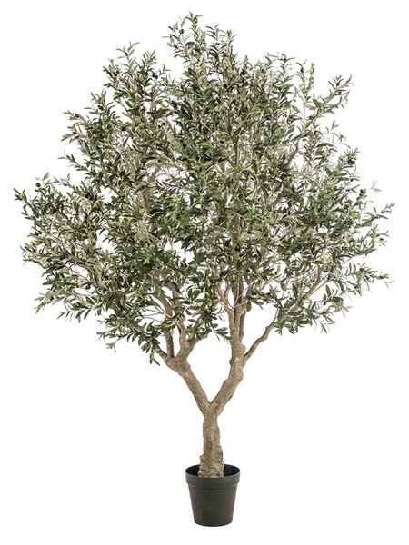 Umělý olivovník 250 cm – realistická dekorace - 231 - 260 cm - 161 do 200cm