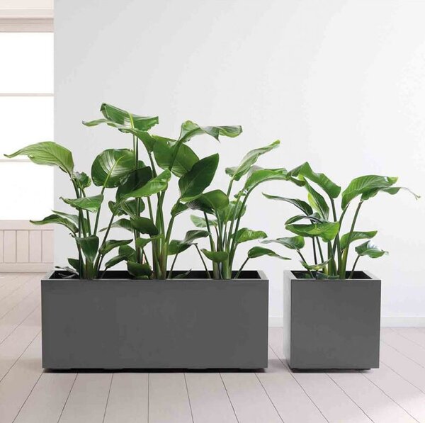 Květináč Nature antracitový 100x40 cm – moderní design - Antracit - 31 - 50 cm