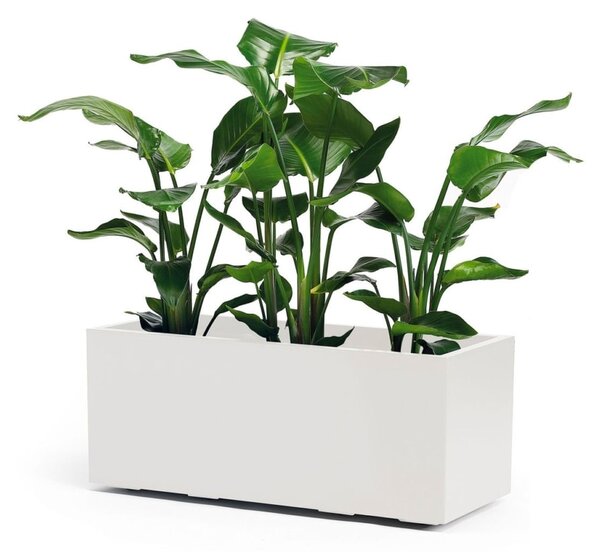 Bílá žardiniéra Nature 100 x 40 cm – moderní květináč - 31 - 50 cm