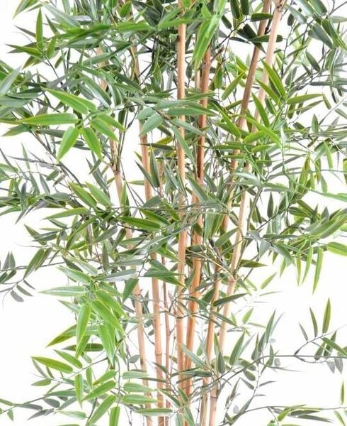 Umělý bambus 180 cm s UV ochranou – exotická dekorace - 151 - 180 cm
