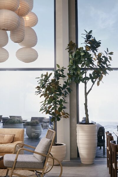 Umělý strom Magnolia Denudata 180 cm – elegantní květinová dekorace
