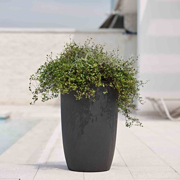 Dekorativní květináč Meti antracit 74x50 cm – moderní design - Antracit - 71 - 90 cm - Teraplast