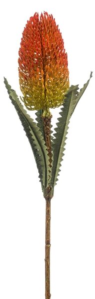 Umělá větev Banksia oranžová 72 cm – exotická dekorace - Oranžová - 71 - 90 cm