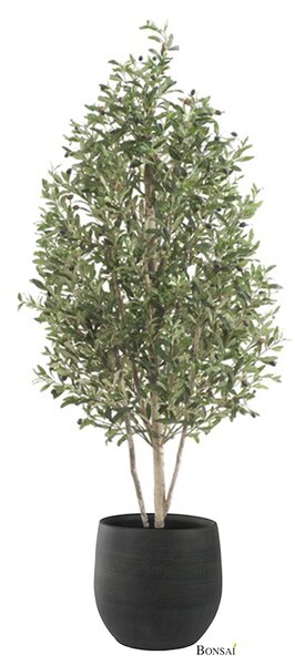 Umělá oliva, výška 170 cm - 151 - 180 cm