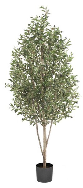 Umělá oliva, výška 170 cm - 151 - 180 cm