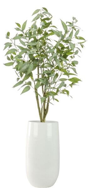 Umělý eukalyptus, výška 150 cm - 121 - 150 cm