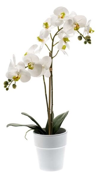 Bílá orchidej, výška 65 cm v bílé váze - Bílá - 51 - 70 cm