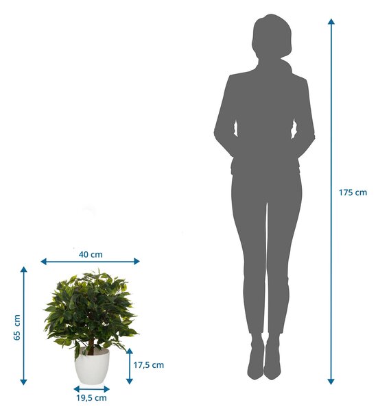 UMĚLÁ ROSTLINA fikus benjamín MID.YOU - Umělé rostliny, Online Only