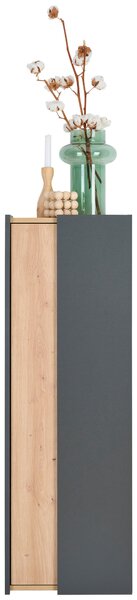 MIDI SKŘÍŇKA, antracitová, dub artisan, 40,2/120/31,7 cm home24 - Koupelnové série, Online Only