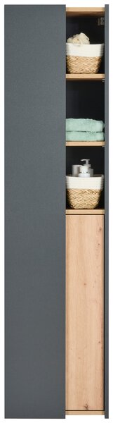 VYSOKÁ SKŘÍŇ, antracitová, dub artisan, antracitová, 40,2/160/31,7 cm home24 - Koupelnové série, Online Only