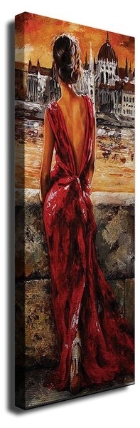 Wallity Obraz na plátně Castle view PC101 30x80 cm