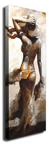 Wallity Obraz na plátně Nostalgic beauty PC108 30x80 cm