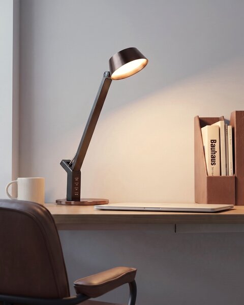 LED stolní lampa CHAMAELEON s USB portem Kov Mosazná