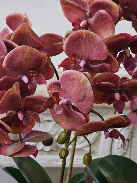 Dekorace umělá květina Orchidej s květináčem - 32*32*57 cm - J-Line by Jolipa