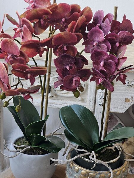 Dekorace umělá květina Orchidej s květináčem - 32*32*57 cm - J-Line by Jolipa
