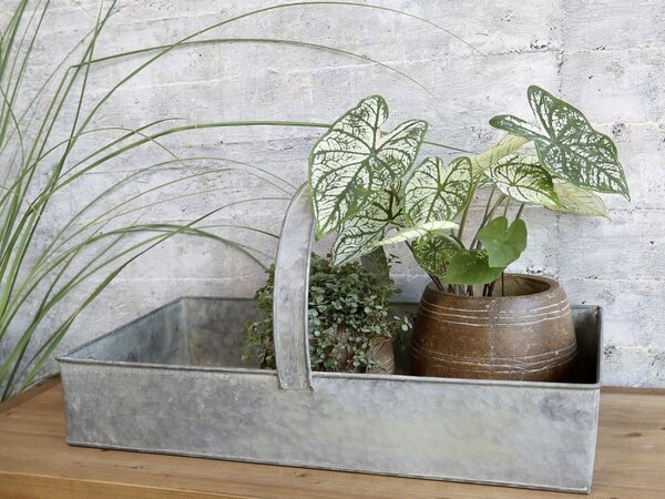 Dekorační plechový zinkový antik box podnos s rukojetí - 54*32*10 cm - Chic Antique