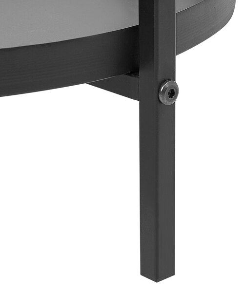 Stojan na květiny TAMARIX Kov 35 cm Černá