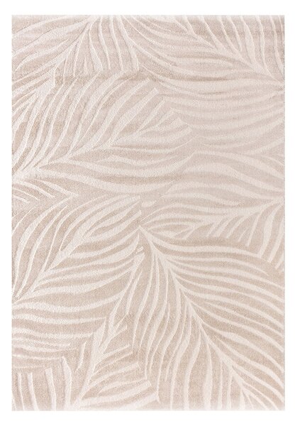 Koberec Velora beige 200x290 cm