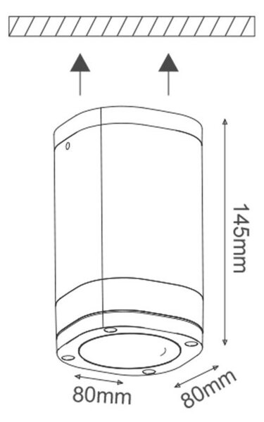 ACA Lighting Garden stropní venkovní svítidlo LG2883G