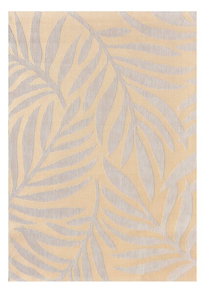 Koberec Avenna golden beige 160x230 cm