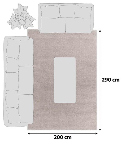 KOBEREC S VYSOKÝM VLASEM, 200/290 cm, béžová Schöner Wohnen - Koberce vysoký vlas
