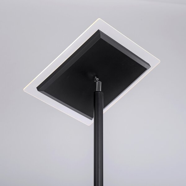 LED STOJACÍ LAMPA, 56/57,5/190 cm - Stojací lampy