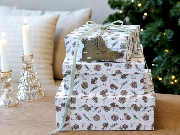 Dárková krabice Pine cones White – set 3 ks