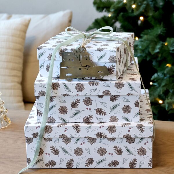 Dárková krabice Pine cones White – set 3 ks
