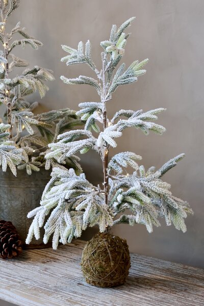 Venkovní svítící LED stromeček Pine Outdoor 65 cm