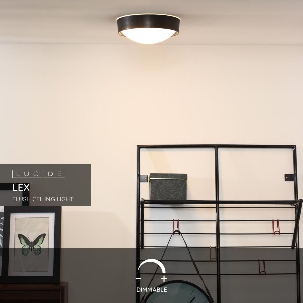 Lucide 08109/01/30 - Stropní svítidlo LEX 1xE27/9W/230V černá