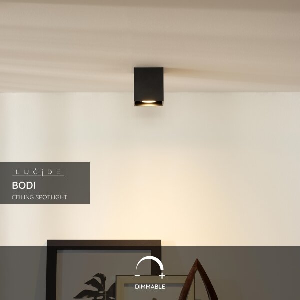 Lucide 09101/01/30 - Bodové svítidlo BODI 1xGU10/50W/230V