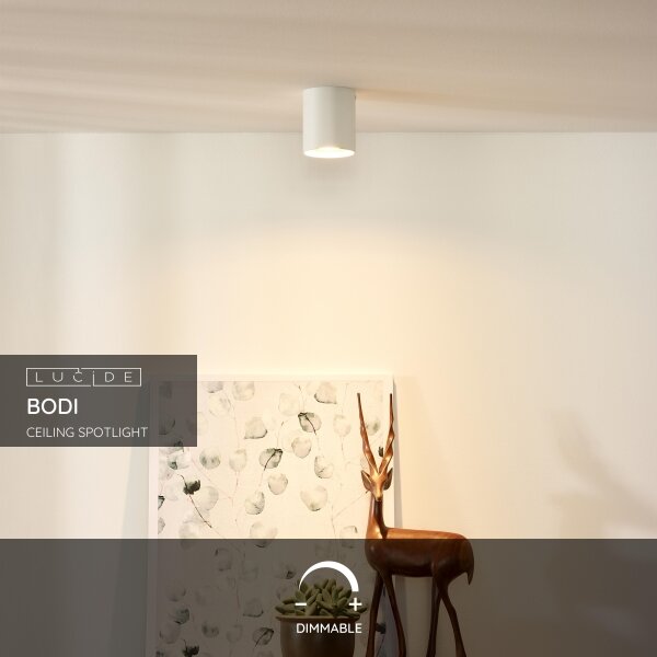 Lucide 09100/01/31 - Bodové svítidlo BODI 1xGU10/50W/230V