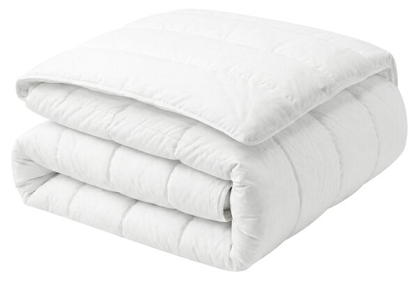 Přikrývka Polyester Středně hřejivá CHAPCHA 200 x 220 cm