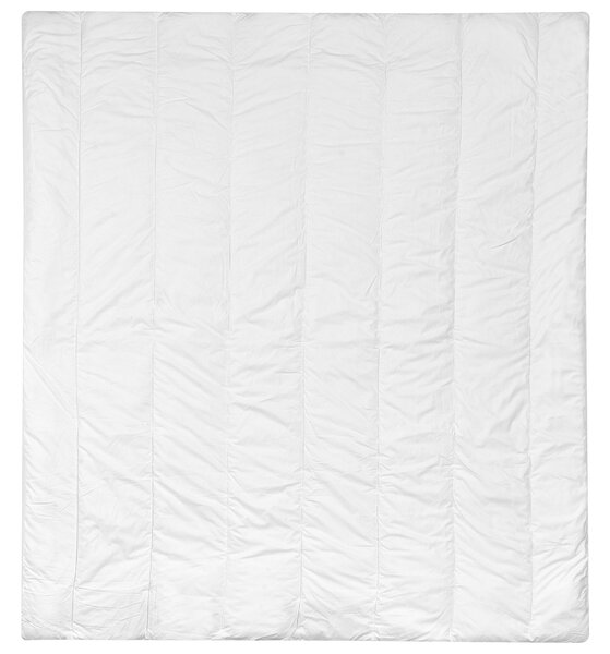 Přikrývka Polyester Středně hřejivá CHAPCHA 200 x 220 cm