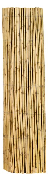 CLONA NA PLOT 300/100 cm - Online Only zastínění, Online Only