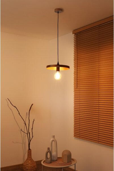 Duolla - Lustr na lanku IRONLINE 1xE27/15W/230V pr. 30 cm měděná/černá