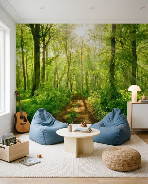Fototapety Cesta ve slunném lese, Fototapety příroda, u22252 : uwalls.cz
