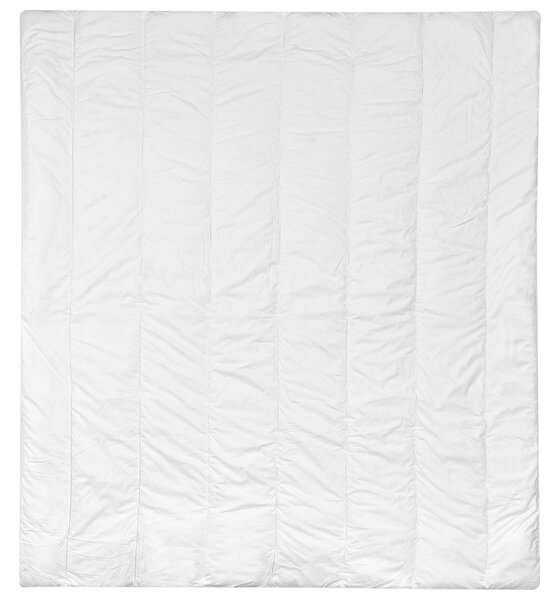 Přikrývka Polyester Středně hřejivá CHAPCHA 200 x 220 cm