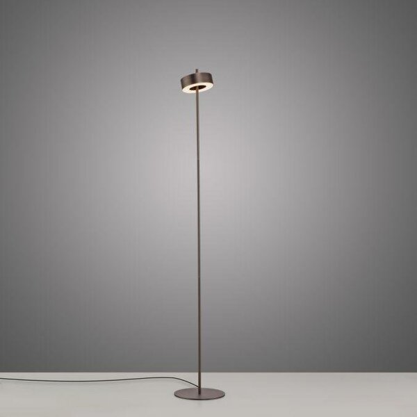 Paul Neuhaus Stojací LED lampa Q-ROTATE, 12W, v. 140 cm, Smart Home 2700-5000K Barva: Hnědá