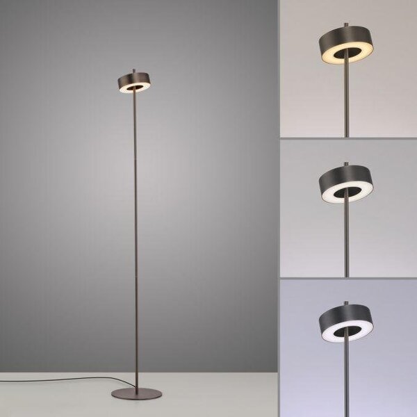 Paul Neuhaus Stojací LED lampa Q-ROTATE, 12W, v. 140 cm, Smart Home 2700-5000K Barva: Hnědá