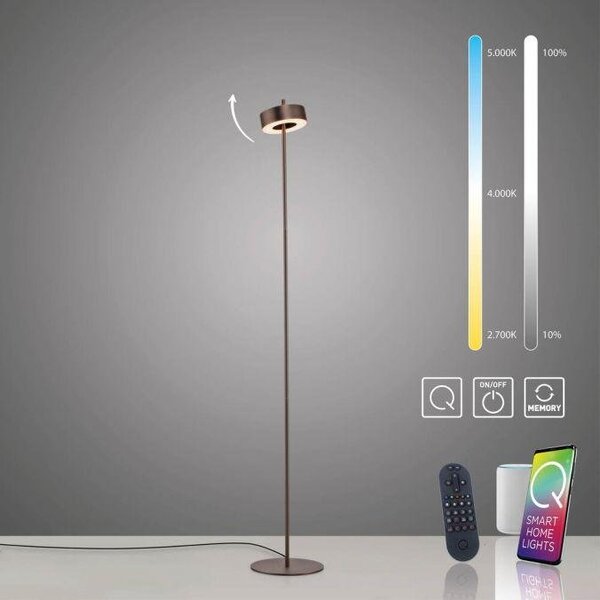 Paul Neuhaus Stojací LED lampa Q-ROTATE, 12W, v. 140 cm, Smart Home 2700-5000K Barva: Hnědá