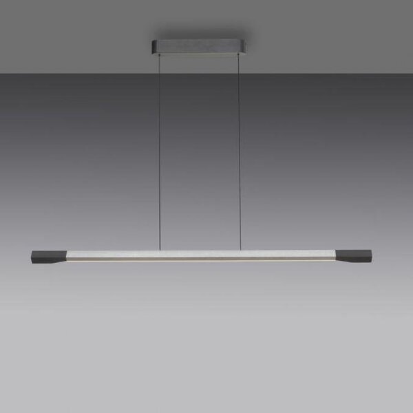 Paul Neuhaus Závěsné LED svítidlo HOOP, 27W, d. 128,8 cm, 3000K stmívatelné SimplyDim a nastavitelnou výškou