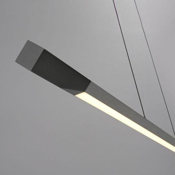 Paul Neuhaus Závěsné LED svítidlo HOOP, 27W, d. 128,8 cm, 3000K stmívatelné SimplyDim a nastavitelnou výškou