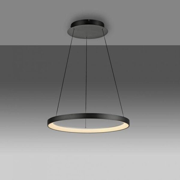 Paul Neuhaus Závěsné LED svítidlo HOOP, 42W, ø 57 cm, 3000K stmívatelné SimplyDim a nastavitelnou výškou Barva: Hliník