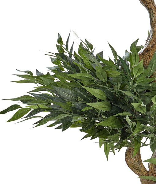 Umělá rostlina RUSCUS TREE 166 cm Zelená