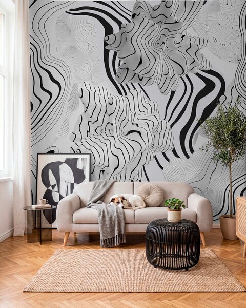 Fototapety abstraktní organické tvary ve 3D stylu v bílé a šedé barvě s černými pruhy, Fototapety černobílé, w04627 : uwalls.cz